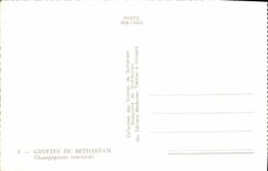 CPM Grottes De Betharram Champignons Renverses