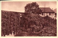 CPA Betharram Le Pont De Lierre
