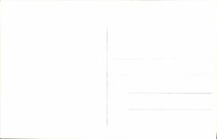 VINTAGE POSTCARD Oslo UTsikt FRA Frognersaeteren