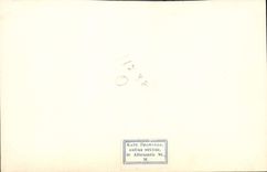 Photo Rose Pergole Wraylands