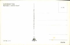 CPA Slovensky Raj Barikada V Rokline Kysel