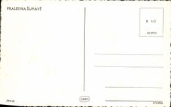 Na Sumave de Prales de la POSTAL de la VENDIMIA