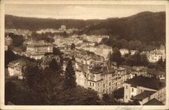 POSTAL Marienbad de la VENDIMIA