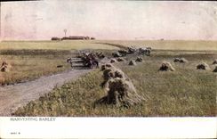 VINTAGE POSTCARD Harvesting Barley Agricultural machinery