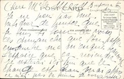 VINTAGE POSTCARD Buffalo The Heart