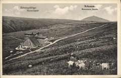 La POSTAL Riesengebirge Rennerbaude Krkonose Rennerova de la VENDIMIA era cabras malhumoradas de Chevre