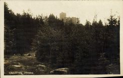 POSTAL Choustnik Zficenina de la VENDIMIA