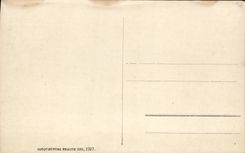 Vacas de Ruda Bohmerwald de la ocultación de Sumava de la POSTAL de la VENDIMIA