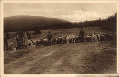 CPA Partie na Radhosti Berger moutons