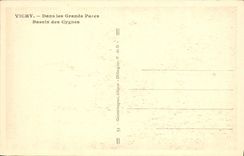 CPA Vichy Dans Les Grands Parcs Bassin des Cygnes