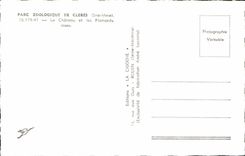 VINTAGE POSTCARD Zoological gardens De Cleres the Castle And Pink flamingos Zoo