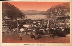 VINTAGE POSTCARD Nantua View Cows