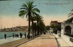 CPA Cannes Promenade De La Croisette 