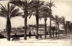 CPA Cannes Les Palmiers De La Croisette Et Le Mont Chevalier