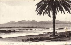 CPA Cannes Vue Sur l'Esterel