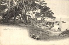 CPA Cannes Pointe De L'Ile St Honorat