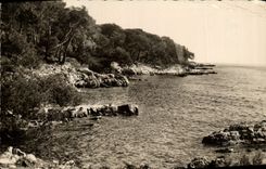 CPM Ile Ste Marguerite Bord De Mer