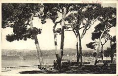 VINTAGE POSTCARD Juan Pines Seen On the Juan Gulf Since the Pine forest