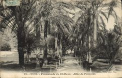 CPA Nice Promenade Du Chateau Allee De Palmiers
