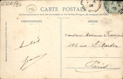 CPA Nice Promenade Du Chateau Allee De Palmiers