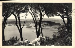 Dimensión artística de la POSTAL de la VENDIMIA de Niza azul vista entre los pinos