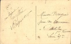 VINTAGE POSTCARD Nice the palate of the pier and the gardens Albert 1st