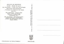 MODERN CARD Arles Alyscamps the Alley Of the Sarcophagi Tombs Of Silence And the Rest