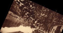 VINTAGE POSTCARD Robinson Cognac