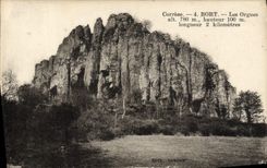 VINTAGE POSTCARD Bort Organ