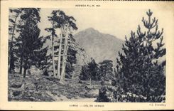 VINTAGE POSTCARD Corsica collar of Vergio Corsica