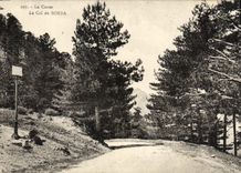 VINTAGE POSTCARD Corsica the Collar of Sorbed