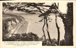 CPA Paimpol La plage et la falaise