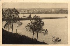 VINTAGE POSTCARD Morgat seen of the Pines of the Mountain