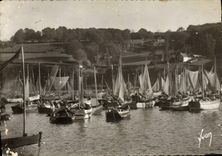 MODERN CARD Douarnenez Sardine boats with the port Boats