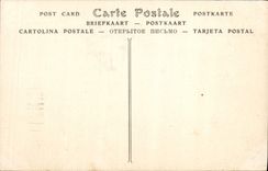 Catedral de la POSTAL de la VENDIMIA de Chartres el asno que Hurdy-gurdy