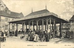 VINTAGE POSTCARD Bernay the Fish shop signal