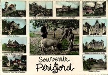 CPM Souvenir du Perigord Cochon Truffe Castelnaud 