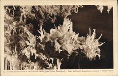 CPA Grotte du Grand Roc Laugerie Basse Banc de Corail 