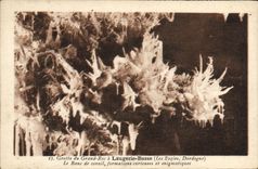 CPA Grotte du Grand Roc Laugerie Basse le Banc de Corail Les Eyzies