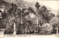 CPA Mont Carlo Groupe de Palmiers