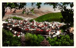 VINTAGE POSTCARD Vence Vur general