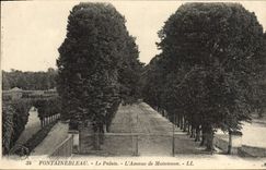 VINTAGE POSTCARD Fontainebleau the Palate the Avenue of Maintenon