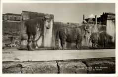 CPA Roma Foro Romano Pluti Dei Rostri