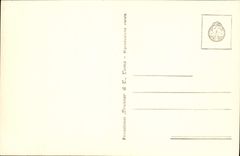 POSTAL Roma Arco Di Druso de la VENDIMIA