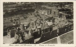 POSTAL Roma Veduta Dall Aeroplano Lerme Di Caracalla de la VENDIMIA