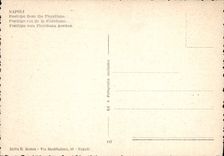POSTAL MODERNA Napoli Posillipa Della Floridiana