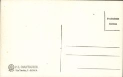 POSTAL Roma Camwood di Raffaello de la VENDIMIA