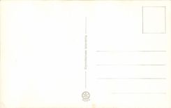 La POSTAL Roma Vaticano de la VENDIMIA Venerates Frassitele