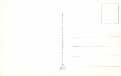 CPA Roma Museo Vaticano Biga 