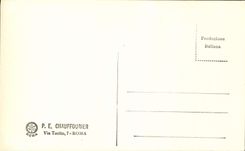 POSTAL Roma Sistina Michelangelo de la VENDIMIA